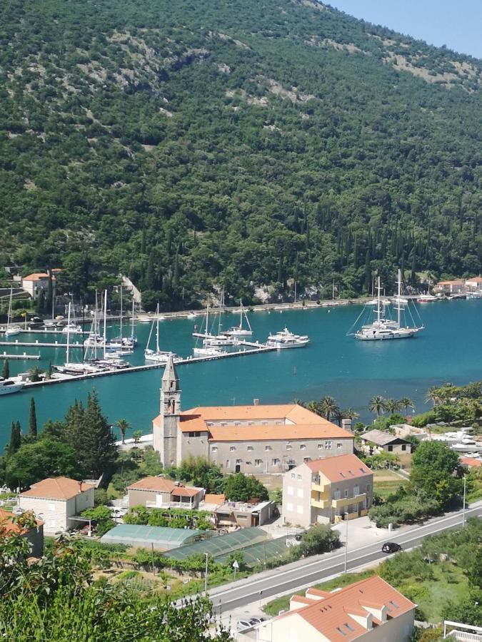 Apartment House Of Artichoke With Amazing Sea View, Dubrovnik Mokošica エクステリア 写真